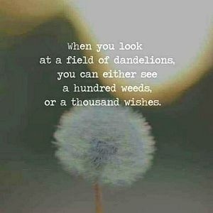 💝 ACCEPTING OFFERS ✨ 💝